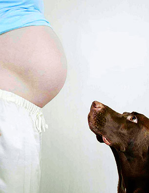 Дети и домашние питомцы. Правила отношений между собакой и малышом - Форум Сириус - Торез