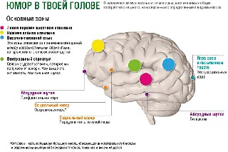 Юмор в товоей голове Почему мы смеемся Гипотезы и исследования происхождения смеха