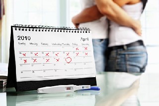Расчёт календаря планирования беременности
