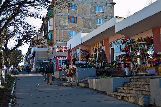 Рынок на Николаева  отдел продажи цветов Торез