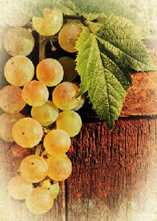 Виноградные грозди сладости