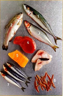 Рыбное разнообразие   Жирная рыба