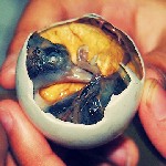 Яйцо с сюрпризом   Так ли страшна азиатская кухня